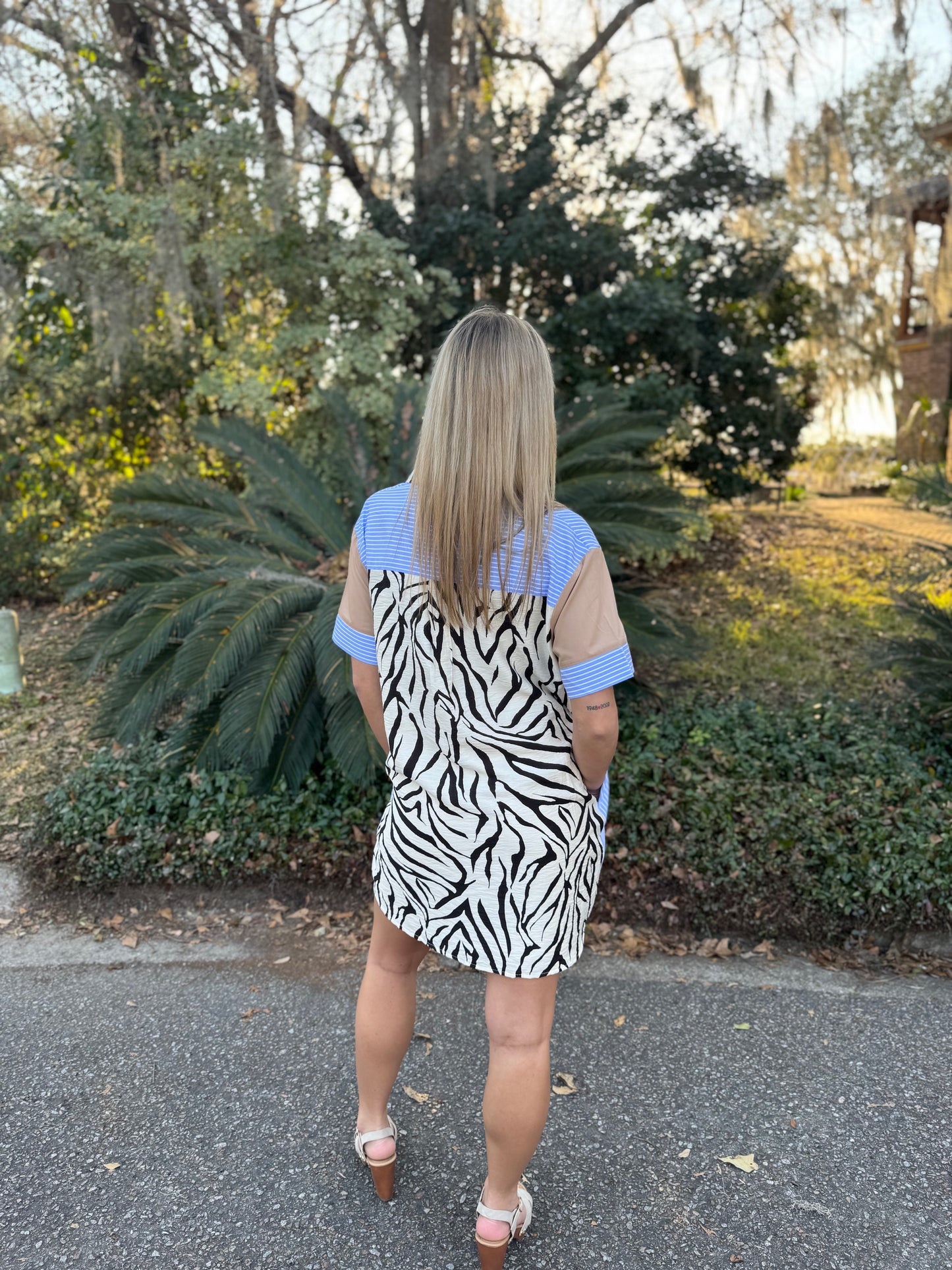 Safari Zebra Dress