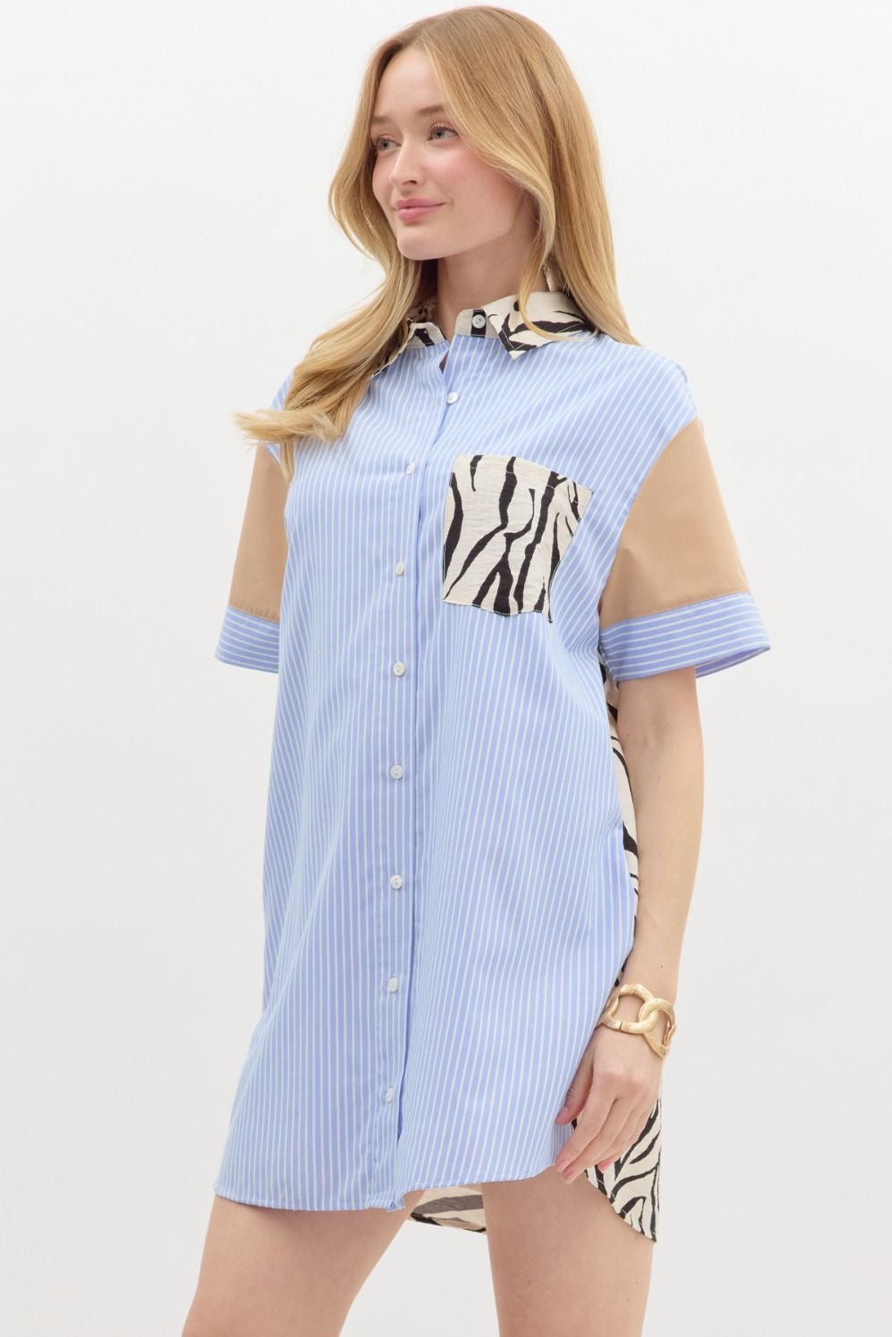 Safari Zebra Dress