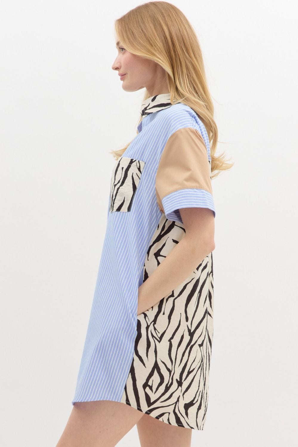 Safari Zebra Dress