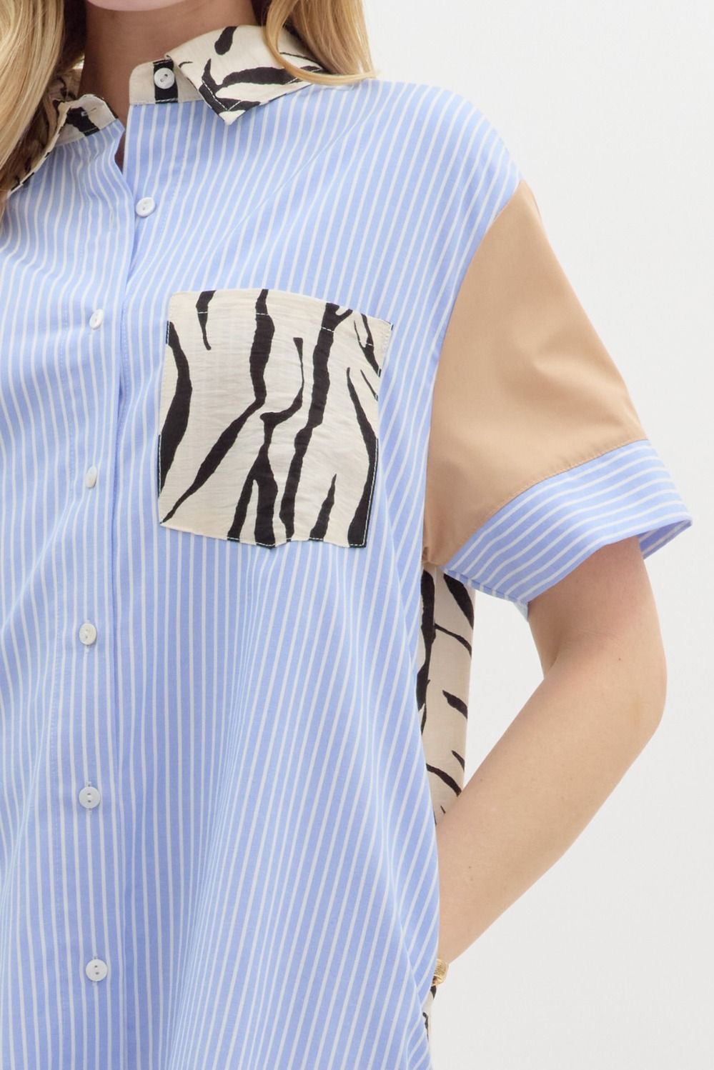 Safari Zebra Dress