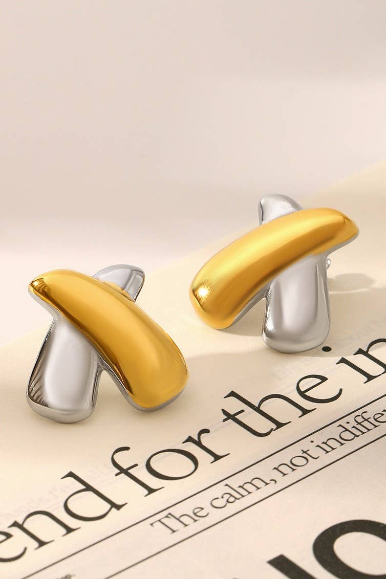 Two Toned Cross Duo Earrings