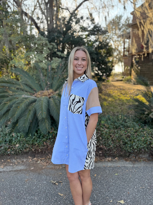 Safari Zebra Dress